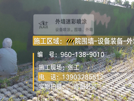 东莞外墙迷彩漆材料价约 45-60 元 /k