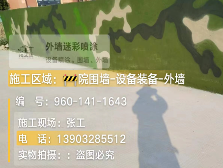 东莞 迷彩漆喷涂价格（按平方米计费）