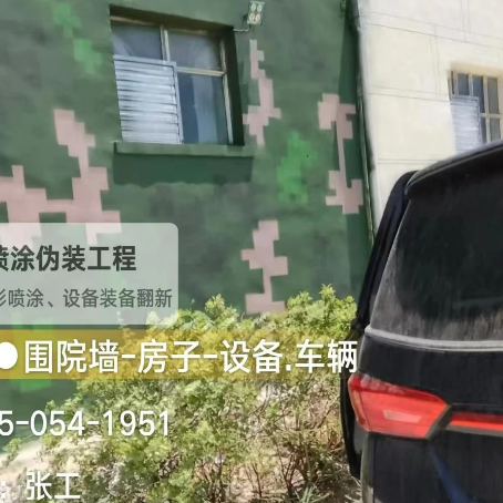 东莞数码迷彩漆施工
